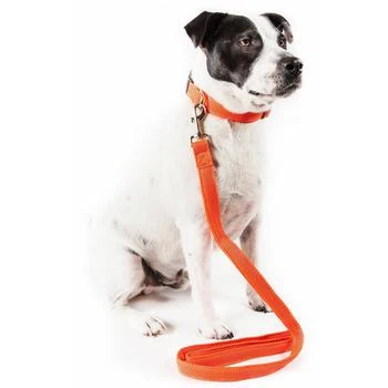 Pet Life  'Aero Mesh' 2-In-1 Breathable and Adjustable Dual-Sided Mesh Dog Leash and Collar