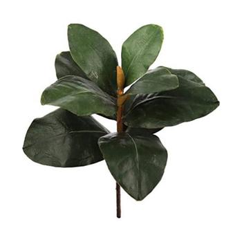商品Floral Home | Lush Leaves of Luxury - 12" Real Touch Artificial Magnolia Leaf Foliage Pick with Textured Detail and Lifelike Appearance,商家Macy's,价格¥255图片