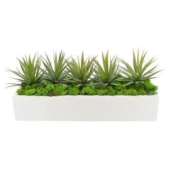 Creative Displays | Creative Displays Green Yucca, Cactus with Moss Succulent Plant,商家Premium Outlets,价格¥1369