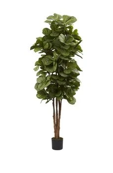 NEARLY NATURAL | Green 6' Fiddle Leaf Fig Tree,商家Nordstrom Rack,价格¥1643