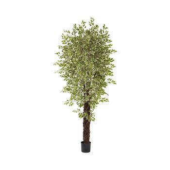 NEARLY NATURAL, NEARLY NATURAL | 7.5' Variegated Mini Ficus Tree商品图片 6.9折