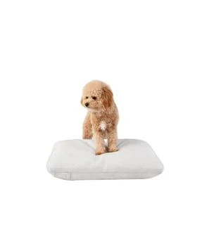 Diggs | Small Pillo Dog Bed,商家Bloomingdale's,价格¥581